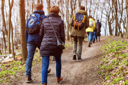 ST MARKS Walking Group